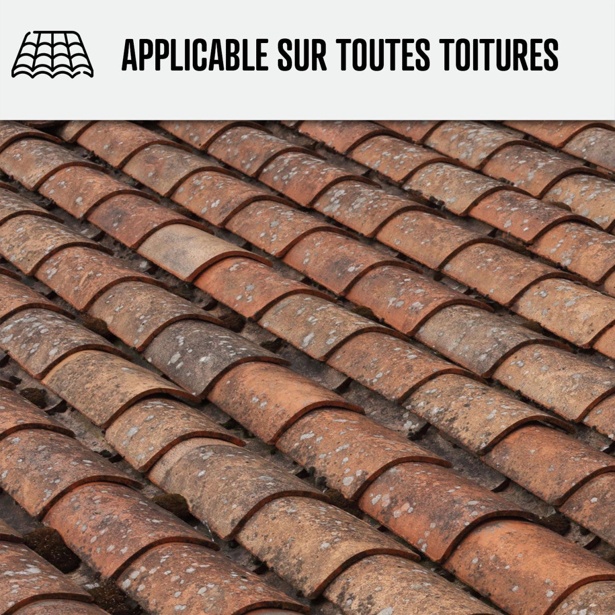 Nettoyant Toiture - Produit nettoyage toiture action rapide - 5 L - ARCANE INDUSTRIES - 7