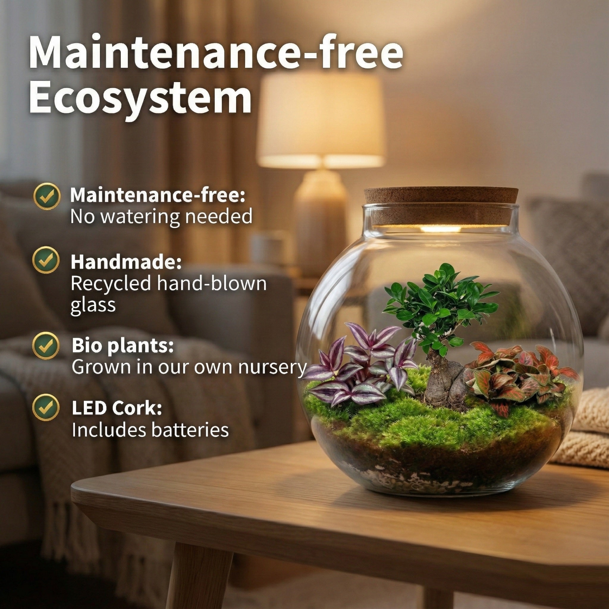 Bonsai Terrario Ecosistema 'Biodome' Ø25 cm - Chiuso e Autosufficiente - Idea Regalo Originale ed Ecologica, senza Cure - 3