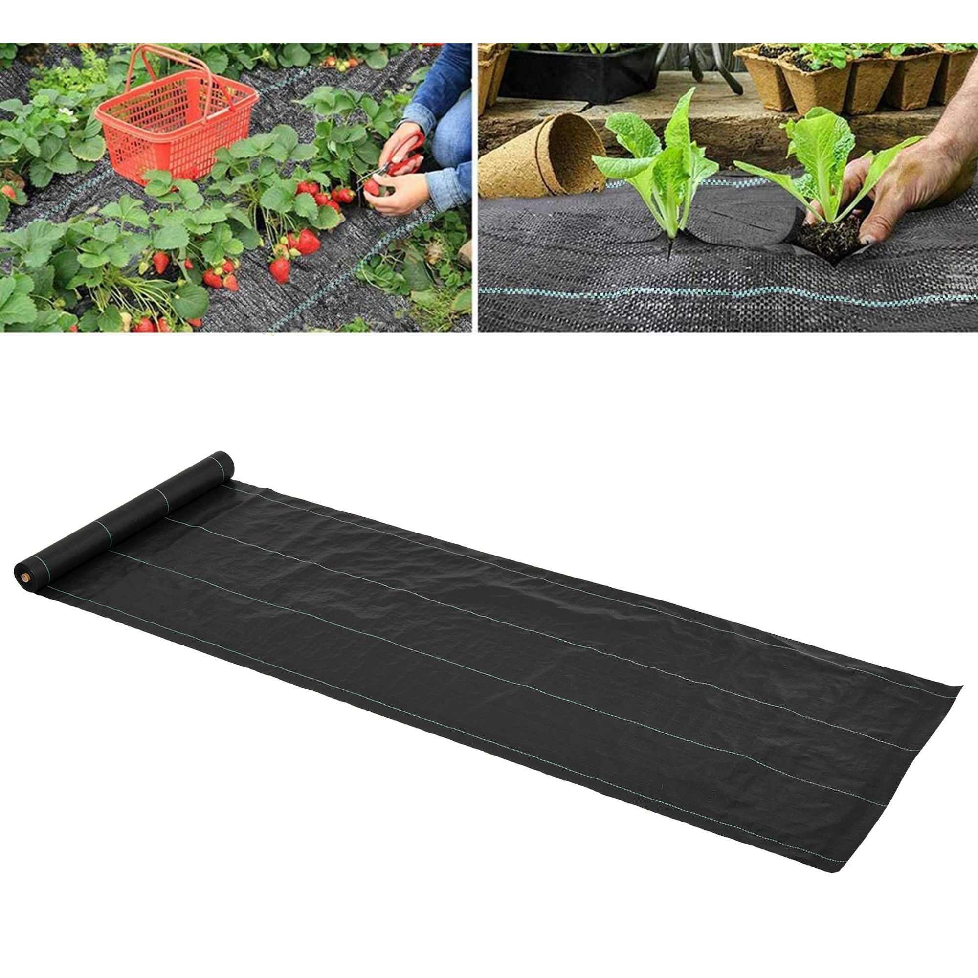 Toile de Paillage 100g/m² - Solide Indéchirable, Perméable à l'Eau et ...