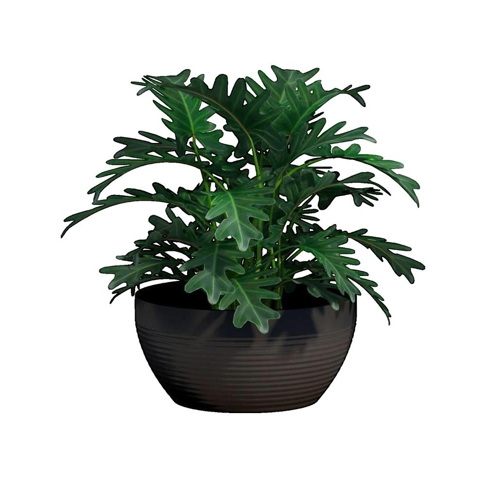 Coupe - GARDEN ID - Green Care Impact Noir-Anth - 25 x 12 cm - Garanti 10ans - 100% recyclé - UV/gel résistant - 2