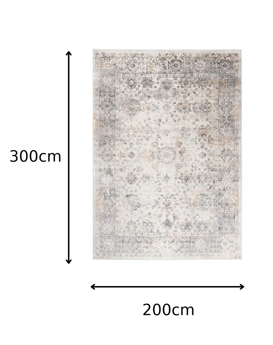 TAPISO Valley Tapis Salon Chambre Vintage Beige Gris Floral Doux 200x300 - 5