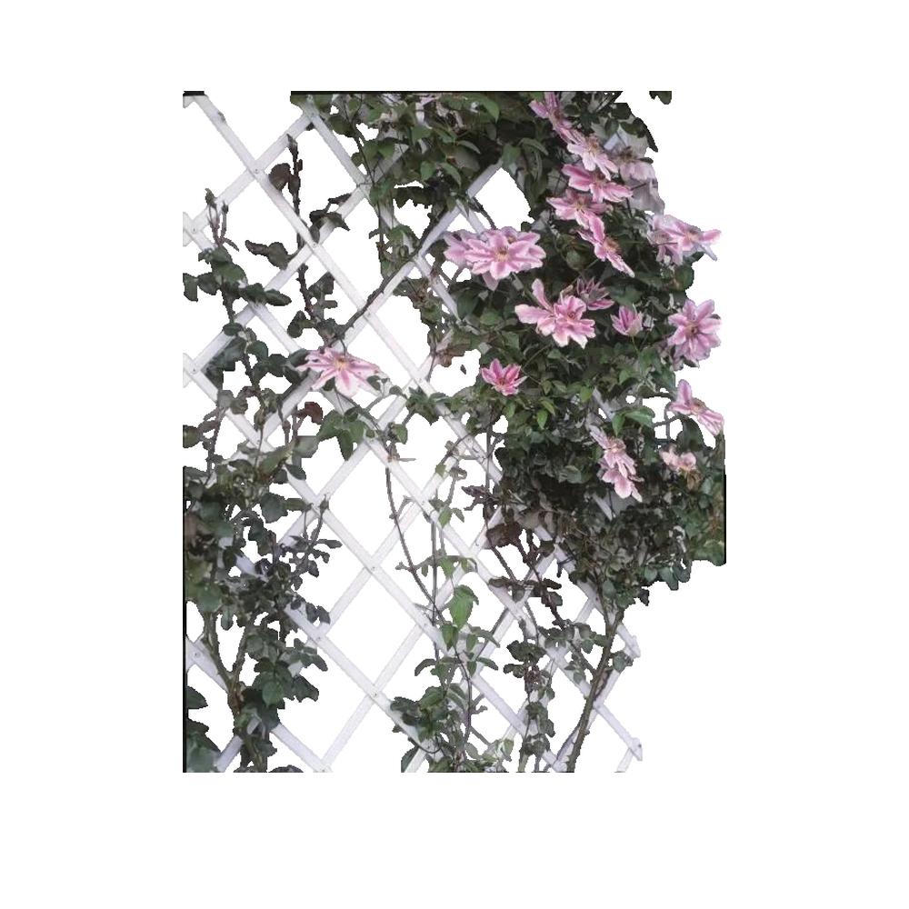 Palisada ogrodowa Nature model rozsuwany 50 x 150 cm PCV biały
