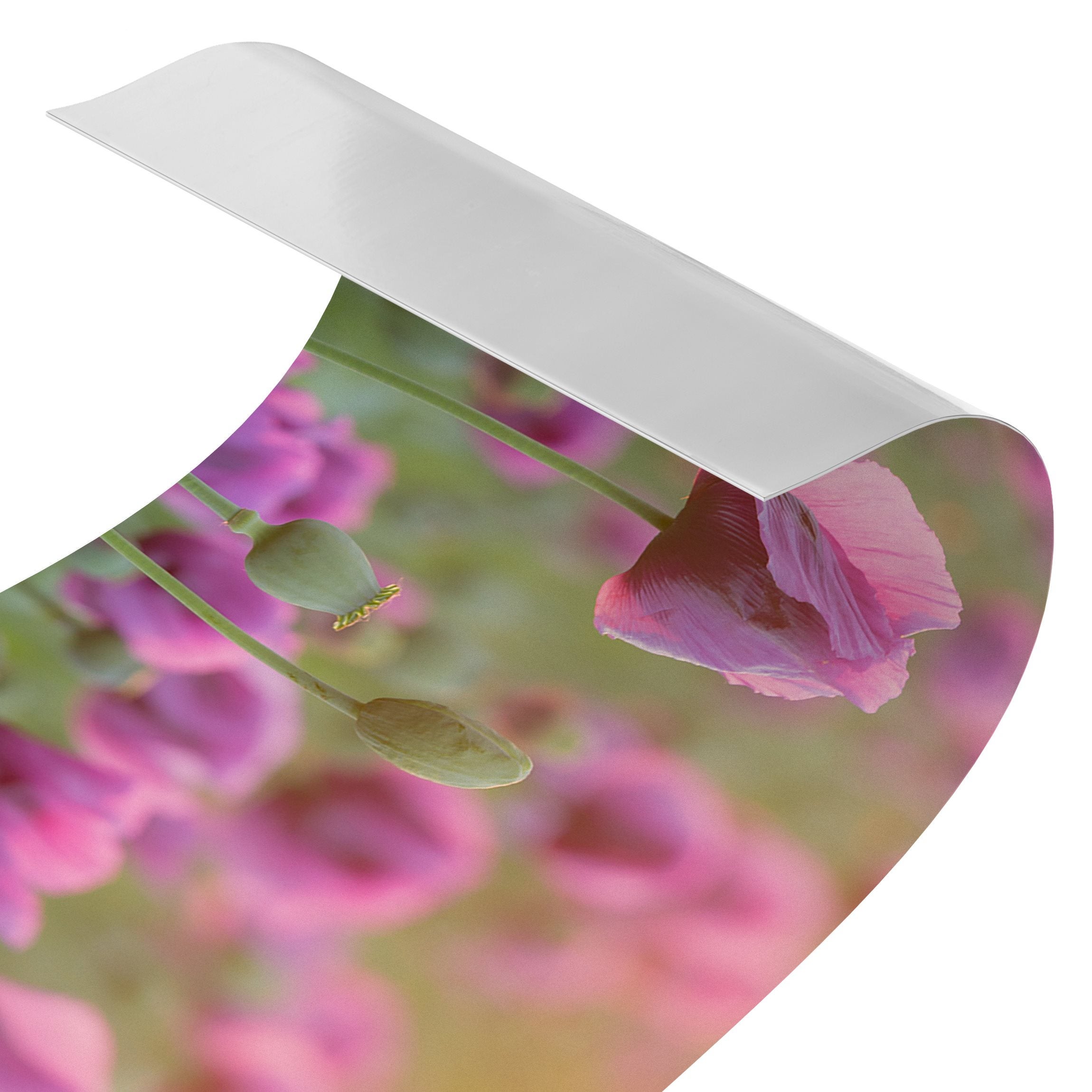 Panneau mural pour salle de bain - Prairie de fleurs de pavot violet au printemps 230 x 65 cm - 4