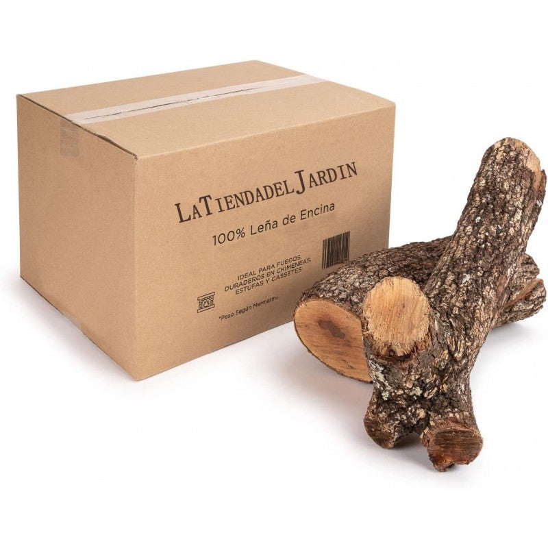 Maisons En Bois Pour Coccinelles à Décorer – Kit D'activité Manuelle Pour Enfants – Lot De 2