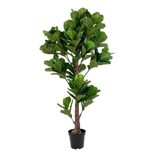 Ficus Lyrata Artificial Fiddle Leaf Tree Verde H 190 cm