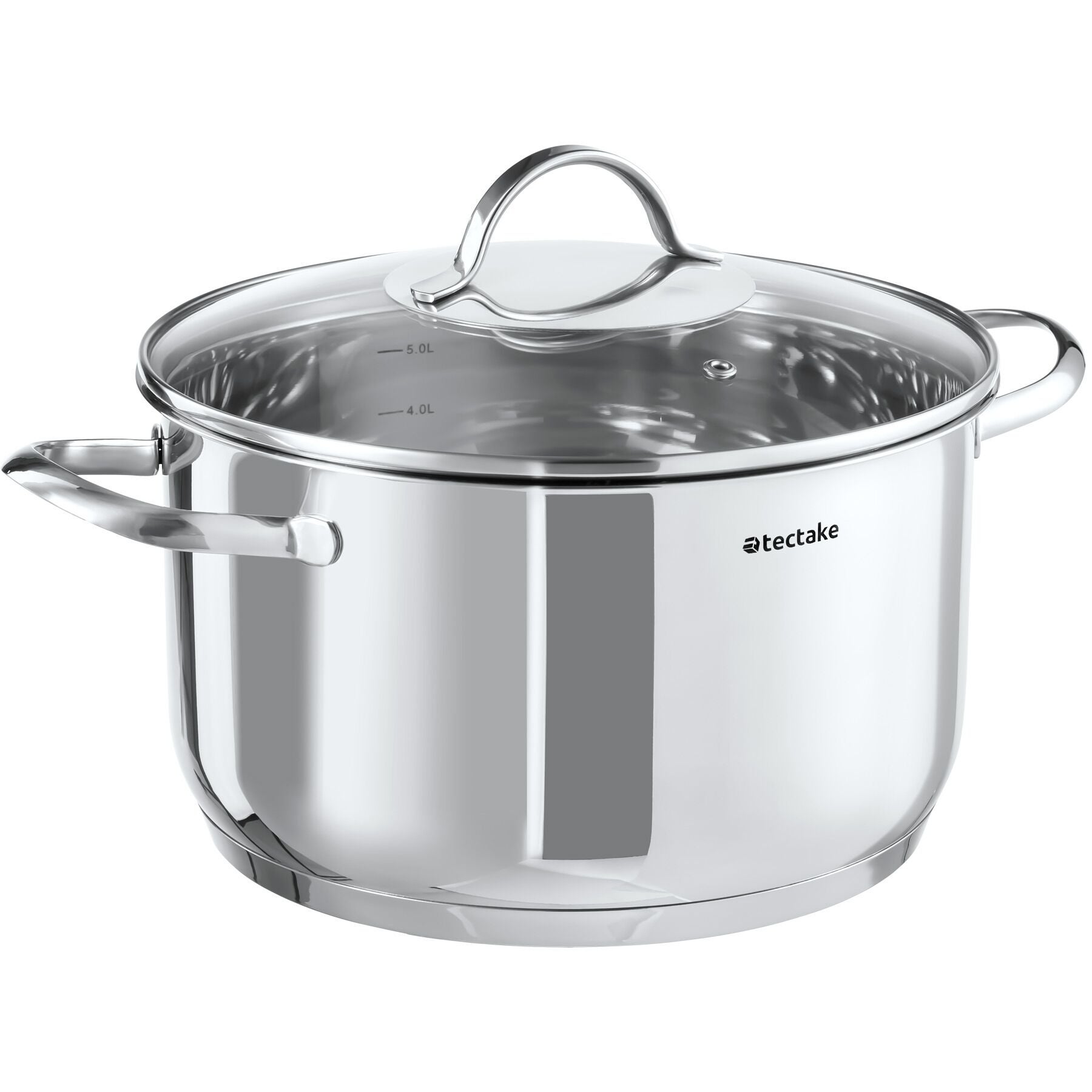 WOLL Set di pentole in acciaio inox, 10 pezzi, adatte a induzione, per tutti i piani cottura, lavabili in lavastoviglie, resistenti alla corrosione