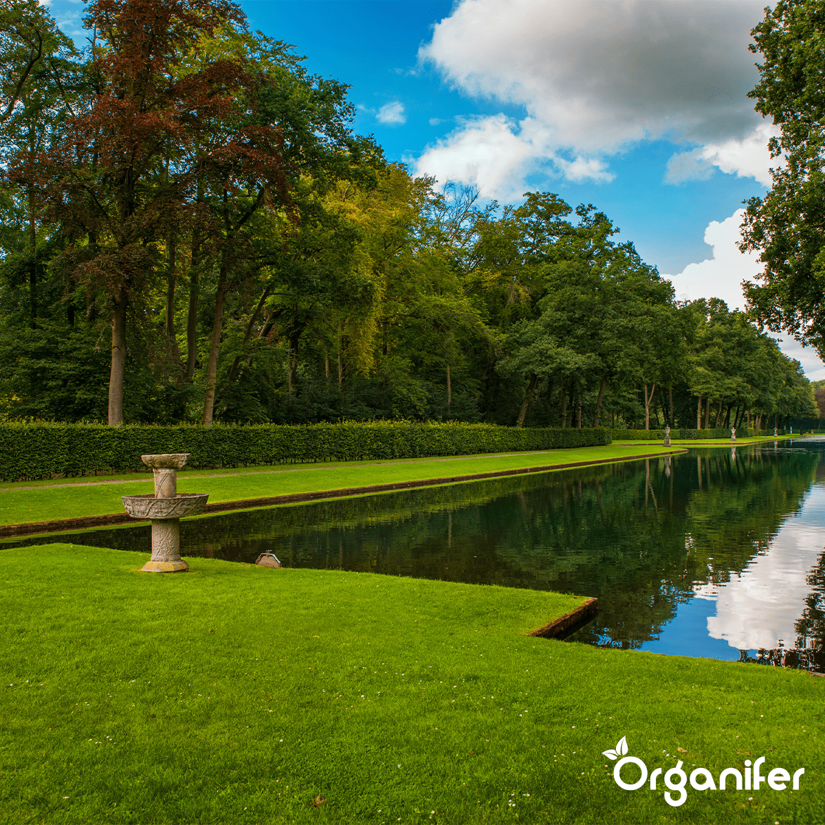 Bentonite Argile - Amendement De Sol - 20 Kg Pour 200 M2 - Organifer - 5