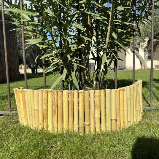 Bordure en bambou naturel pour jardin