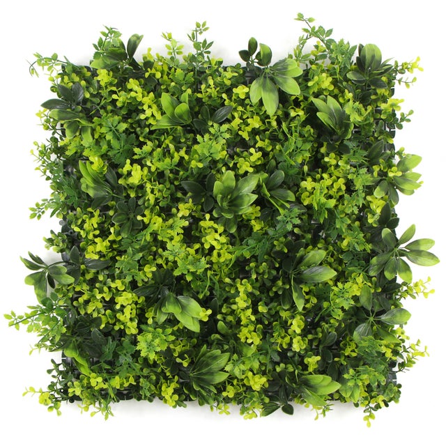 Maui | FOLY - 50 x 50 cm - Mur végétal artificiel extérieur et intérieur - Garantie UV 5 ans - JIVANA