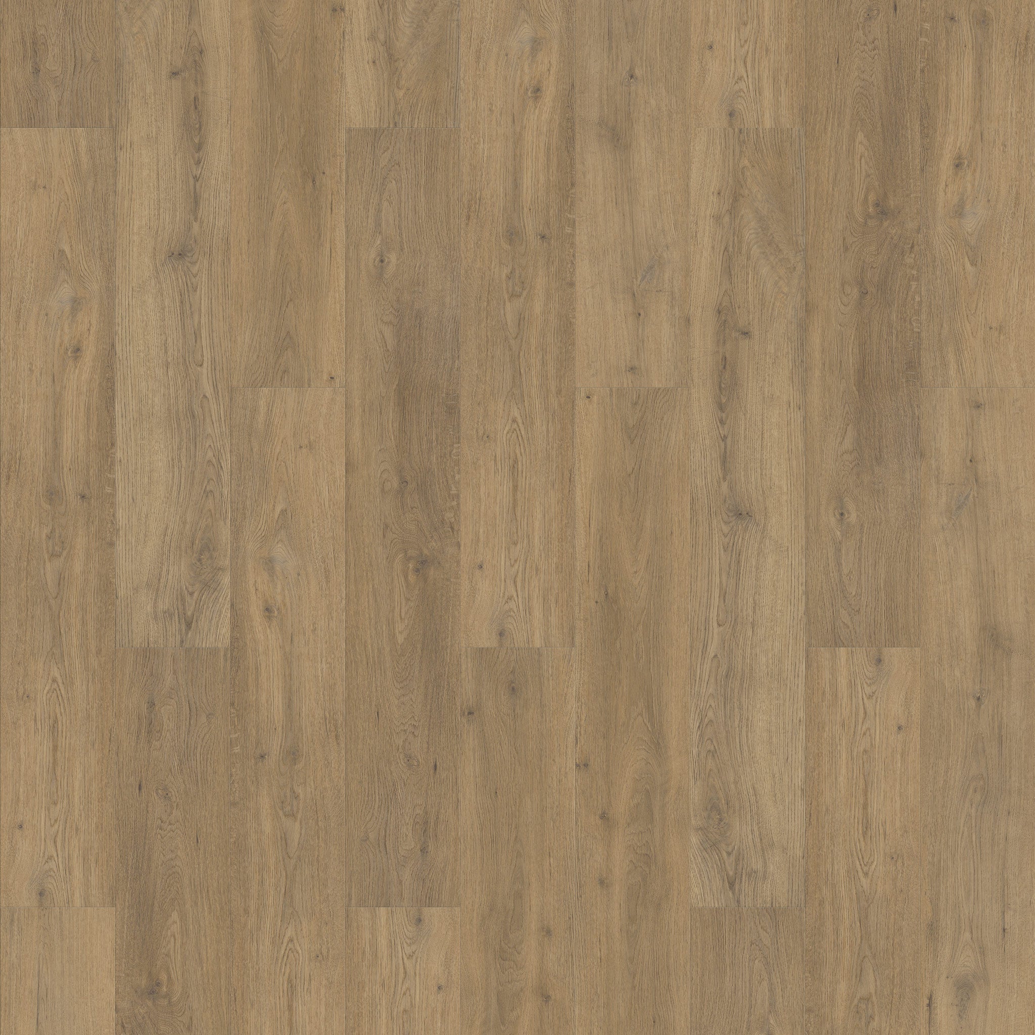 FLOOREVER - Lame PVC clipsable forte - Sous-couche intégrée - 30 Clic Rigid - Épaisseur 5 mm - Chêne tradition - 3