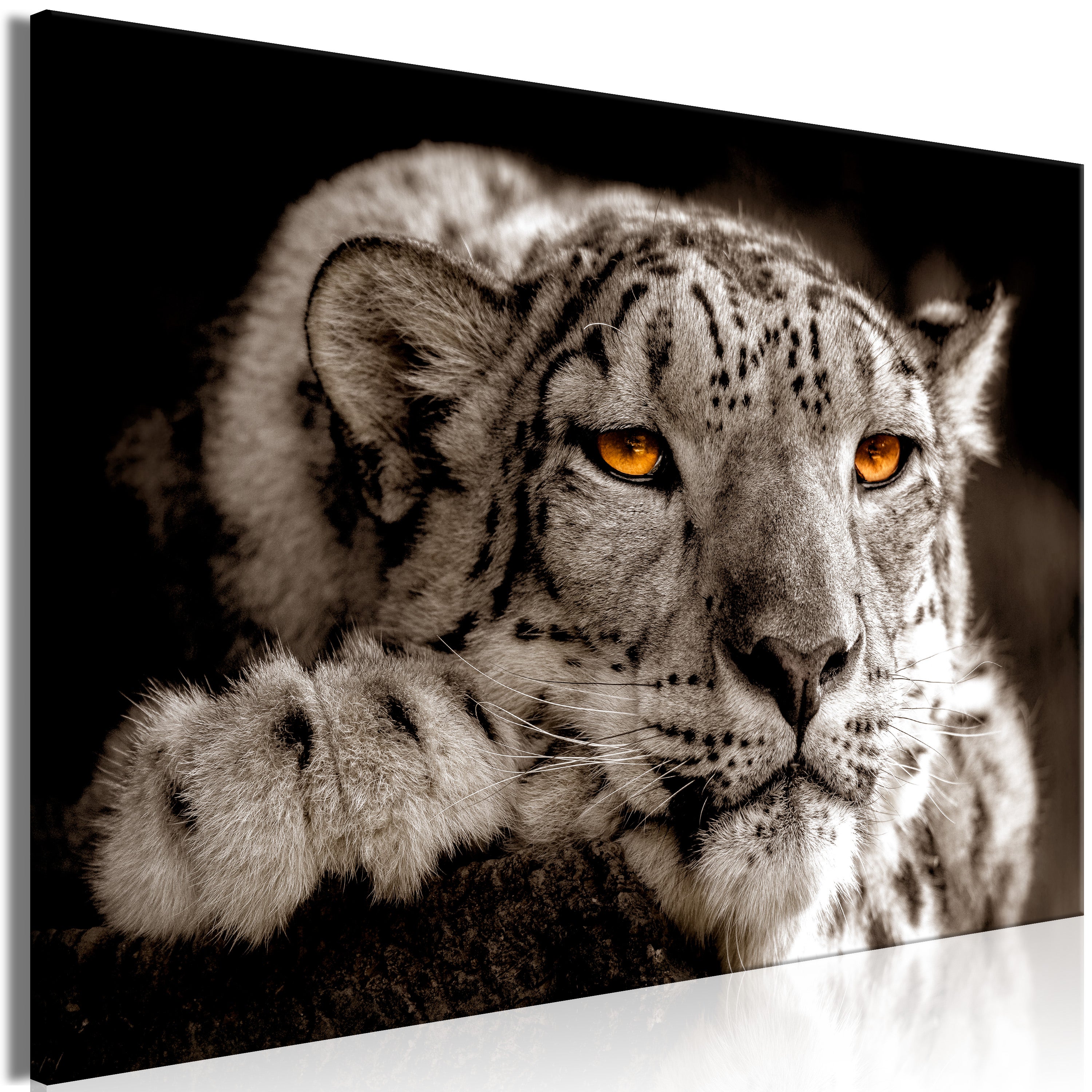 Tableau - Magic Eyes (1 Part) Wide [30x20] | Leroy Merlin