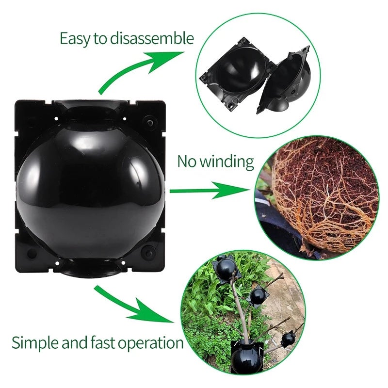Boules d'enracinement des plantes jardin racine boîte de culture outils de plantation diamètre 8 cm 5 pièces/ensemble - 3