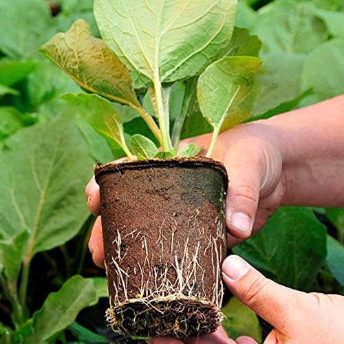 50 piccoli vasetti di fibra di semi biodegradabili con 20 etichette + 1 paio di attrezzi + 1 seminatrice per la semina di piante biodegradabili - 3