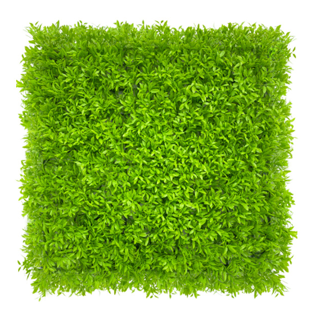 Sztuczny żywopłot 50 cm x 50 cm, ochrona i prywatność dla ogrodu, tło ścienne z syntetycznej trawy, ochrona UV (1 sztuka)
