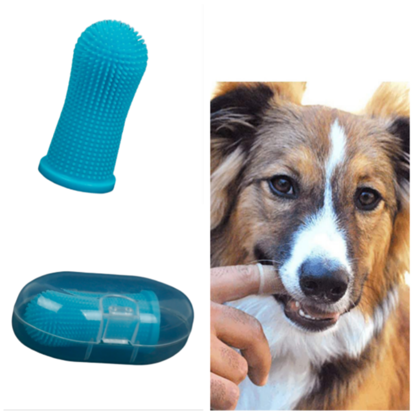 DULZEN Stylo Brosse à Dents Pour Chien/Chat - 4 Pièces Avec Gel Dentaire, Nettoyage Facile, Haleine Fraîche