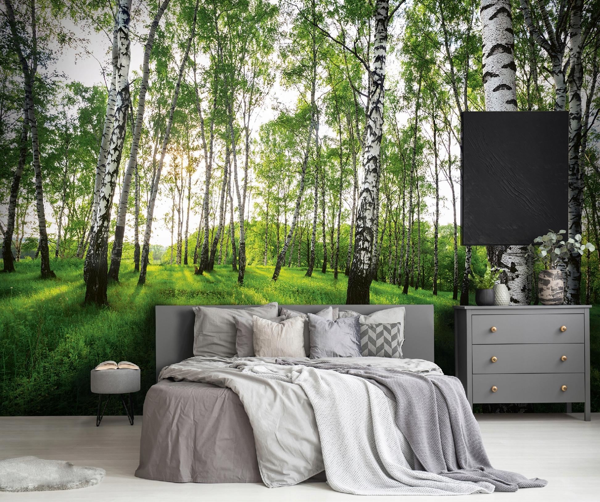 Fototapeta Las Brzozowy Brzozy Drzewa 200x140 cm Tapeta Do Sypialni Salonu Kuchni Na Flizelinie