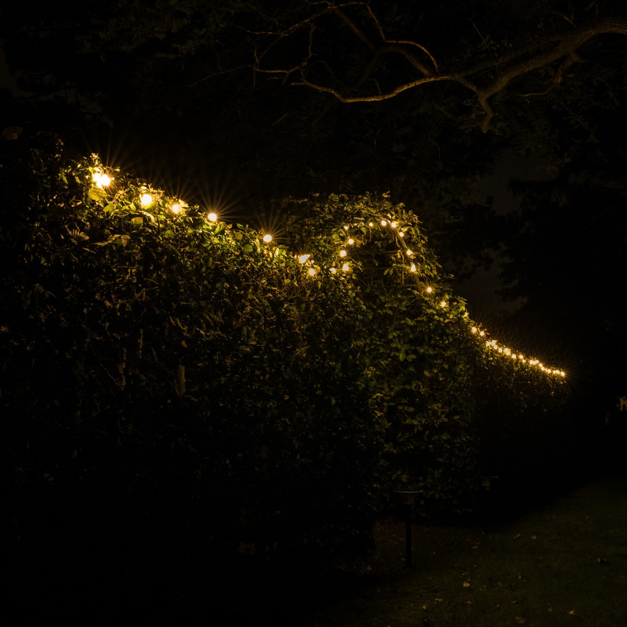 Guirlande solaire Iplux® Venice 15m - Haute qualité - Durée de combustion 15 heures - 5