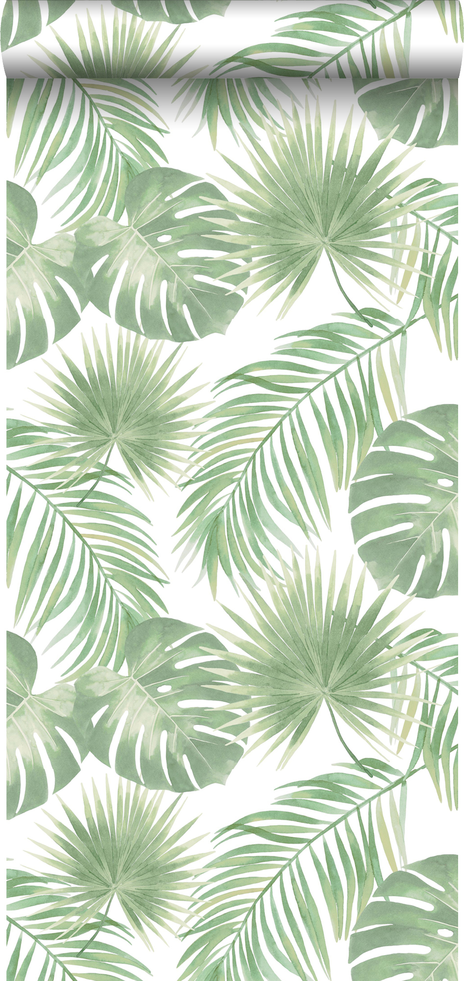 Papel pintado hojas tropicales verde claro - 53 cm x 10.05 m - walls4you