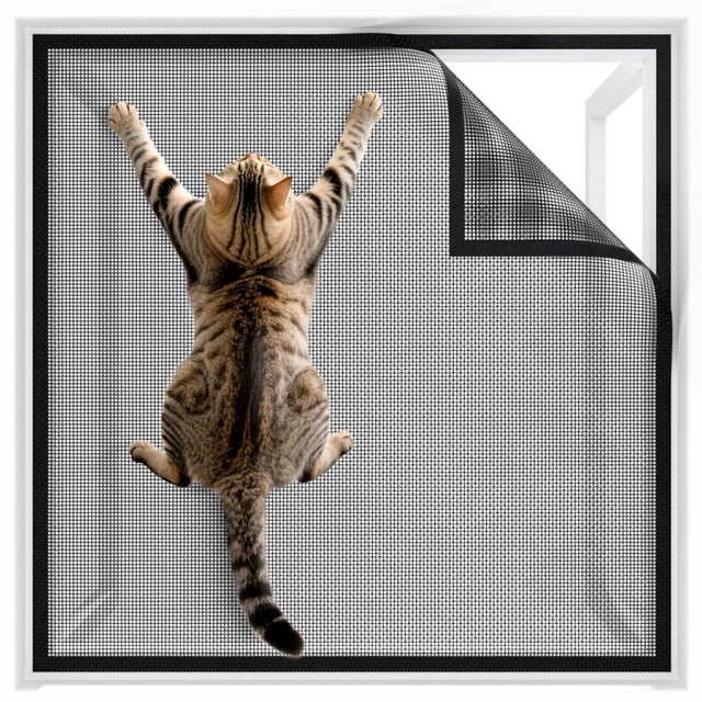 Mosquitera para ventana 100 x 120cm – Malla antimosquitos – Protector de seguridad para gatos – Instalación sin taladros – Fijación con velcro –Negro
