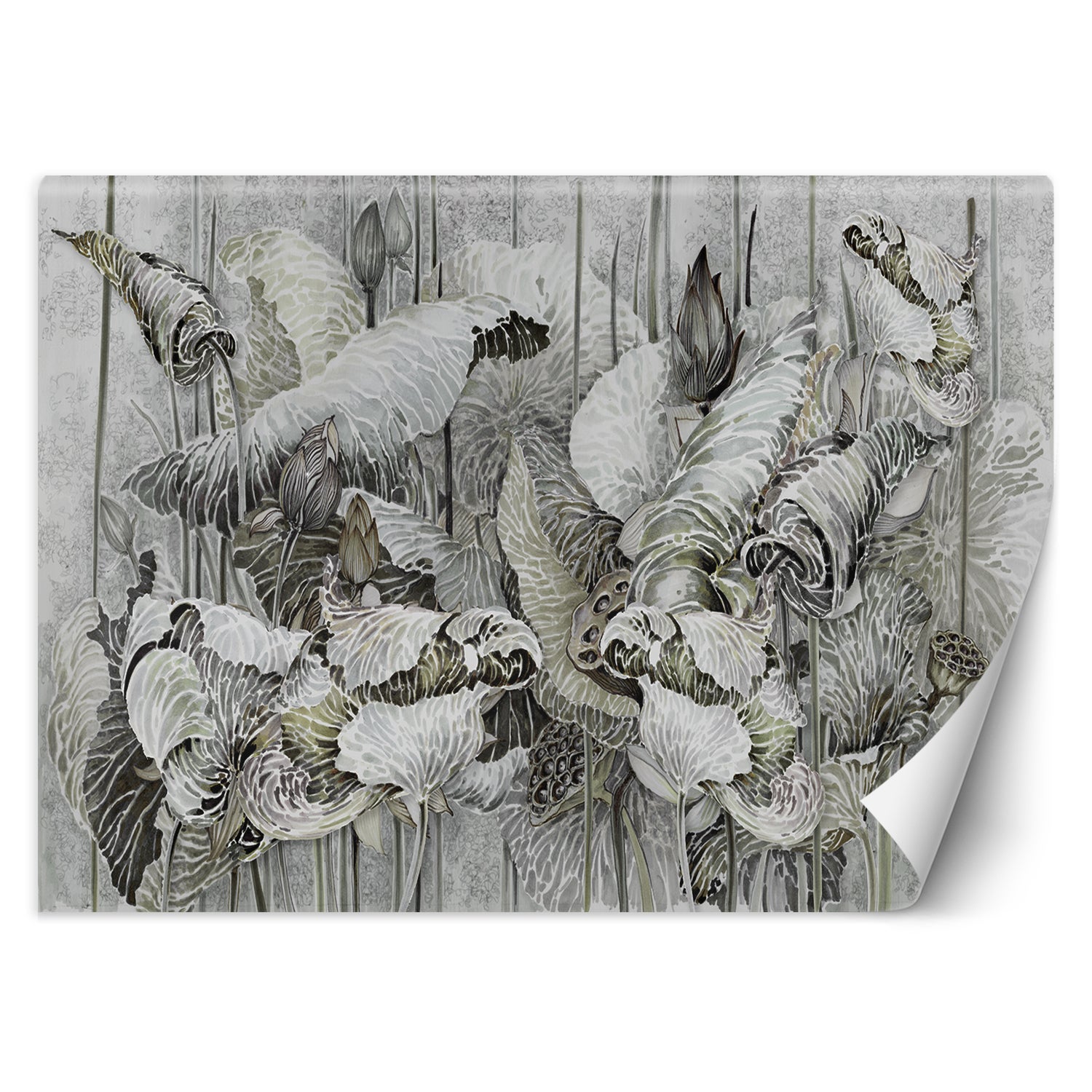 Fototapeta, Kwiat lotosu natura 100x70