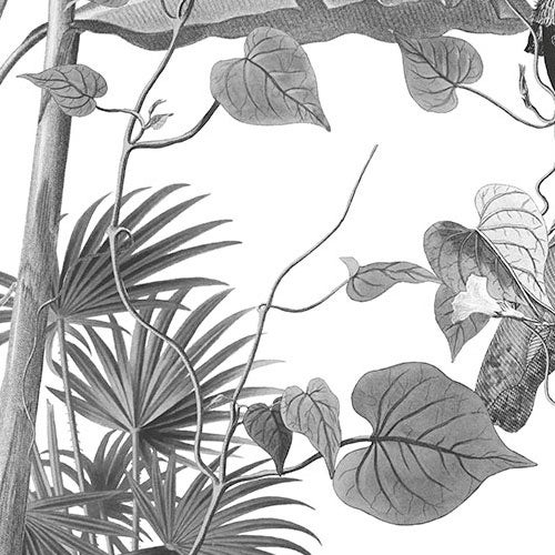 Fotomurale in tessuto non tessuto di Komar - Croissances Monochrome - Dimensione: 400 x 280 cm - 7