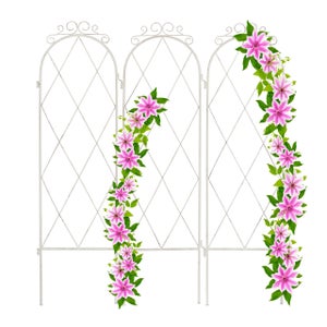 Supporto Per Piante Rampicanti Relaxdays, Set 8 Sostegni Con Anello, 80 Cm, Acciaio Verniciato Verde Scuro, Per Rose E Fiori - 2