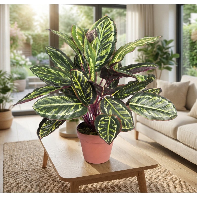Plante Artificielle Calathea Zebra 49cm avec pot | Plantes en plastique pour la décoration de jardin intérieur et extérieur - 4