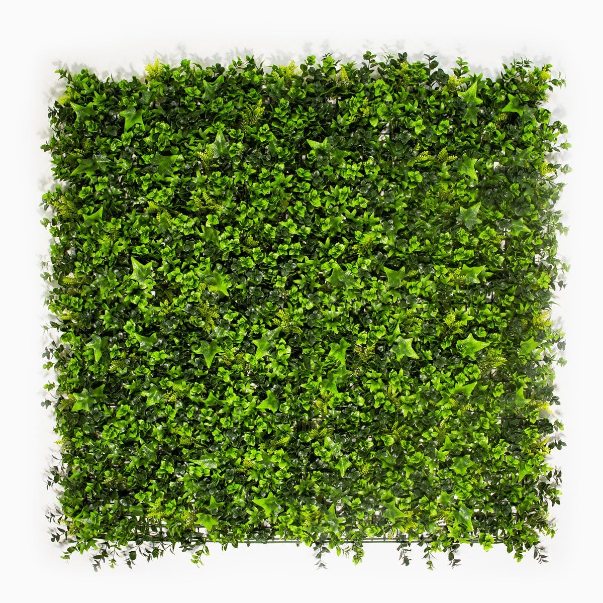 Feuillage artificiel lierre – 1 m × 1 m – Aspect naturel et pose facile - 5