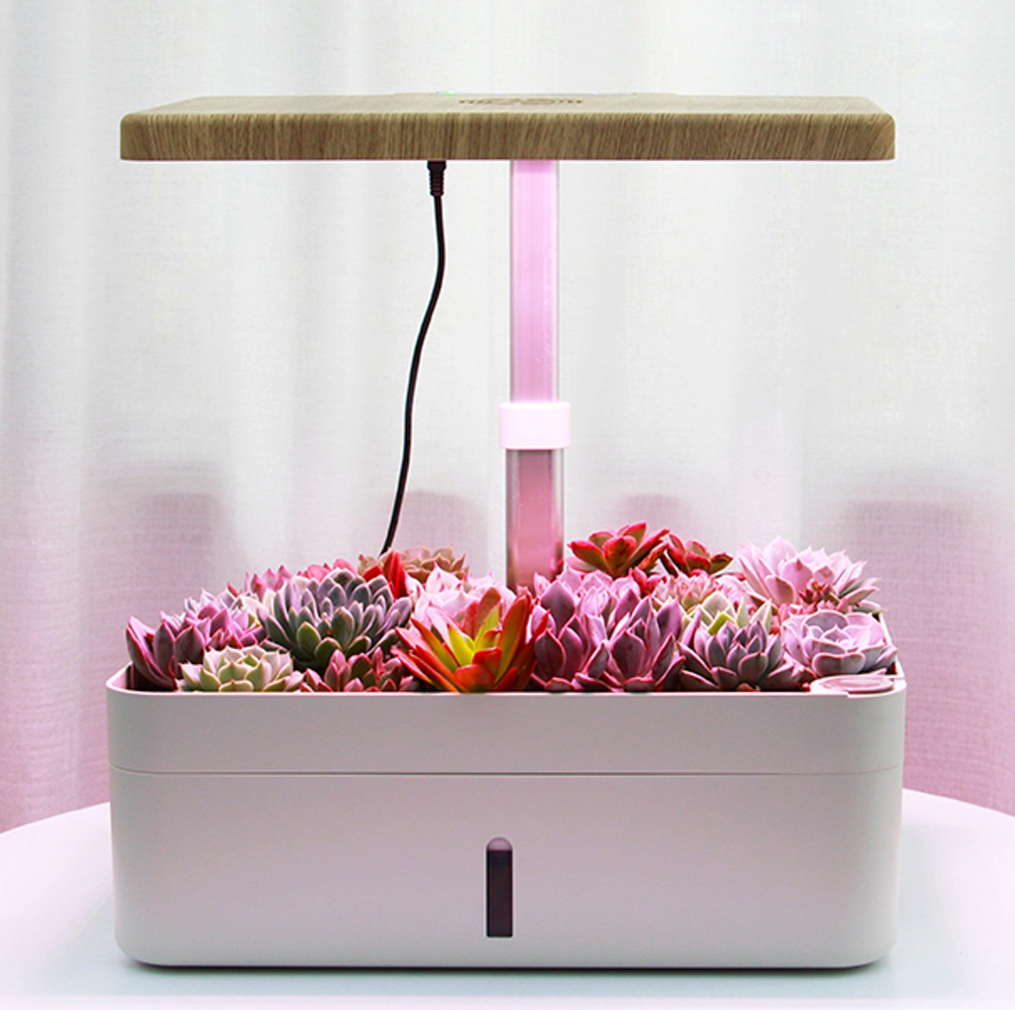 Serra Idroponica Interna Con LED - Giardino Intelligente 10 Baccelli, Coltivazione Automatica - Foto 4