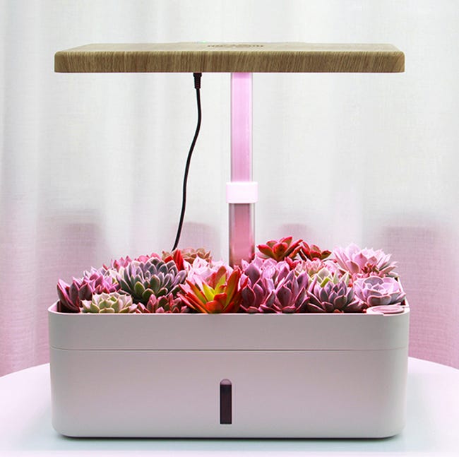 Serra Idroponica Interna Con LED - Giardino Intelligente 10 Baccelli, Coltivazione Automatica - Foto 4