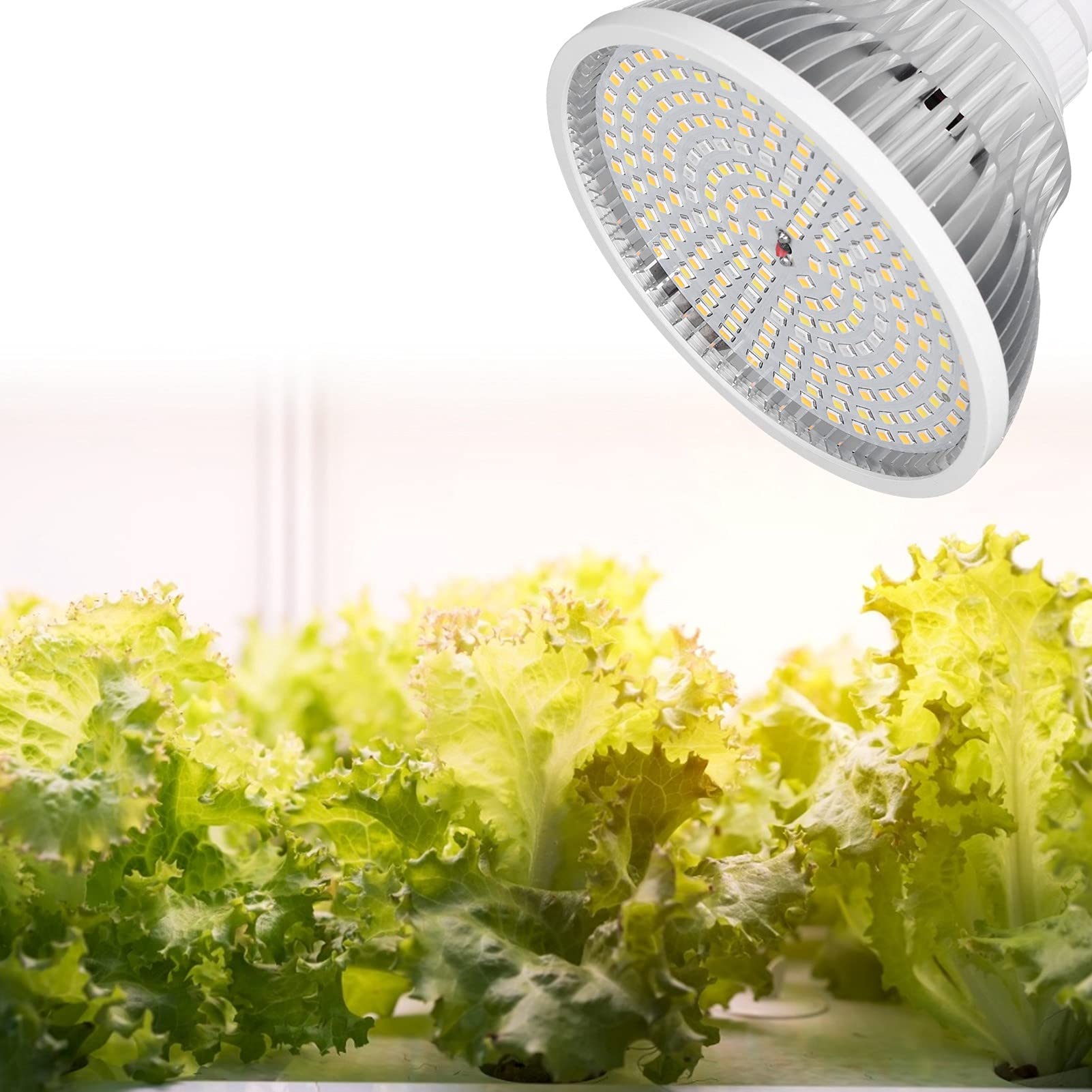 Lampadina LED Grow Light Full Spectrum 22W Lampada per la crescita delle piante per uso interno in serra e gi - 9