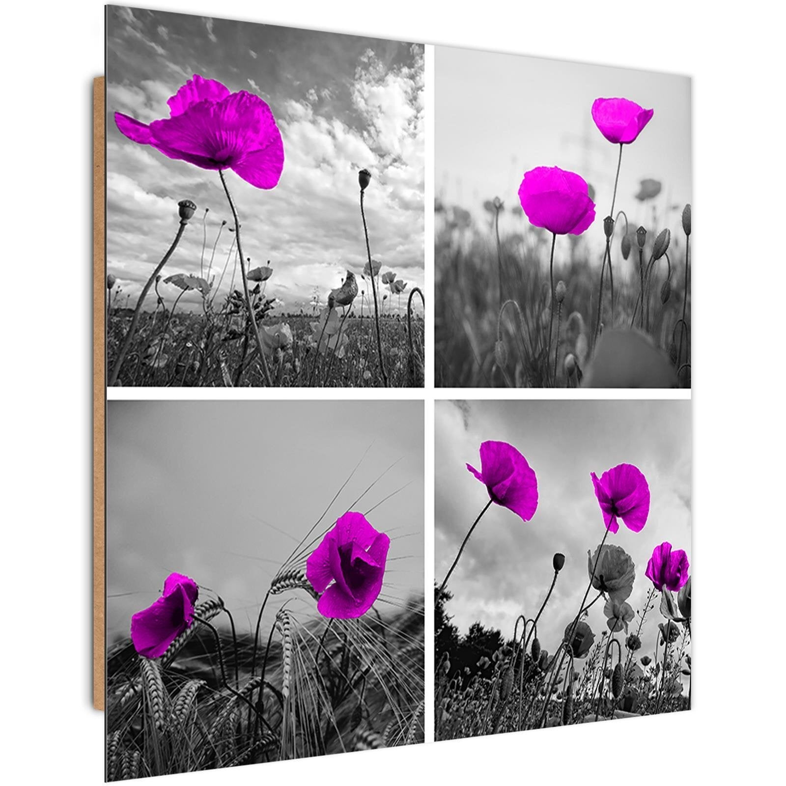 Lot De 2 Cadres Décoratifs - Coquelicots & Panthère - 33x24 Cm Et 32x26 Cm - Neufs