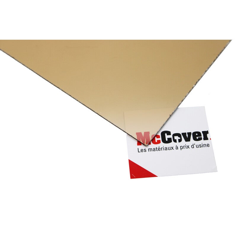 Verre synthétique fumé aspect lisse - Coloris - Fumé, Epaisseur - 5 mm, Largeur - 100 cm, Longueur - 200 cm - 2