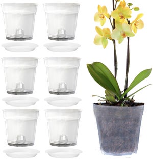 Vaso quadrato colore nero 5x5x6 cm (n.1 pezzo), ditta Bamaplast
