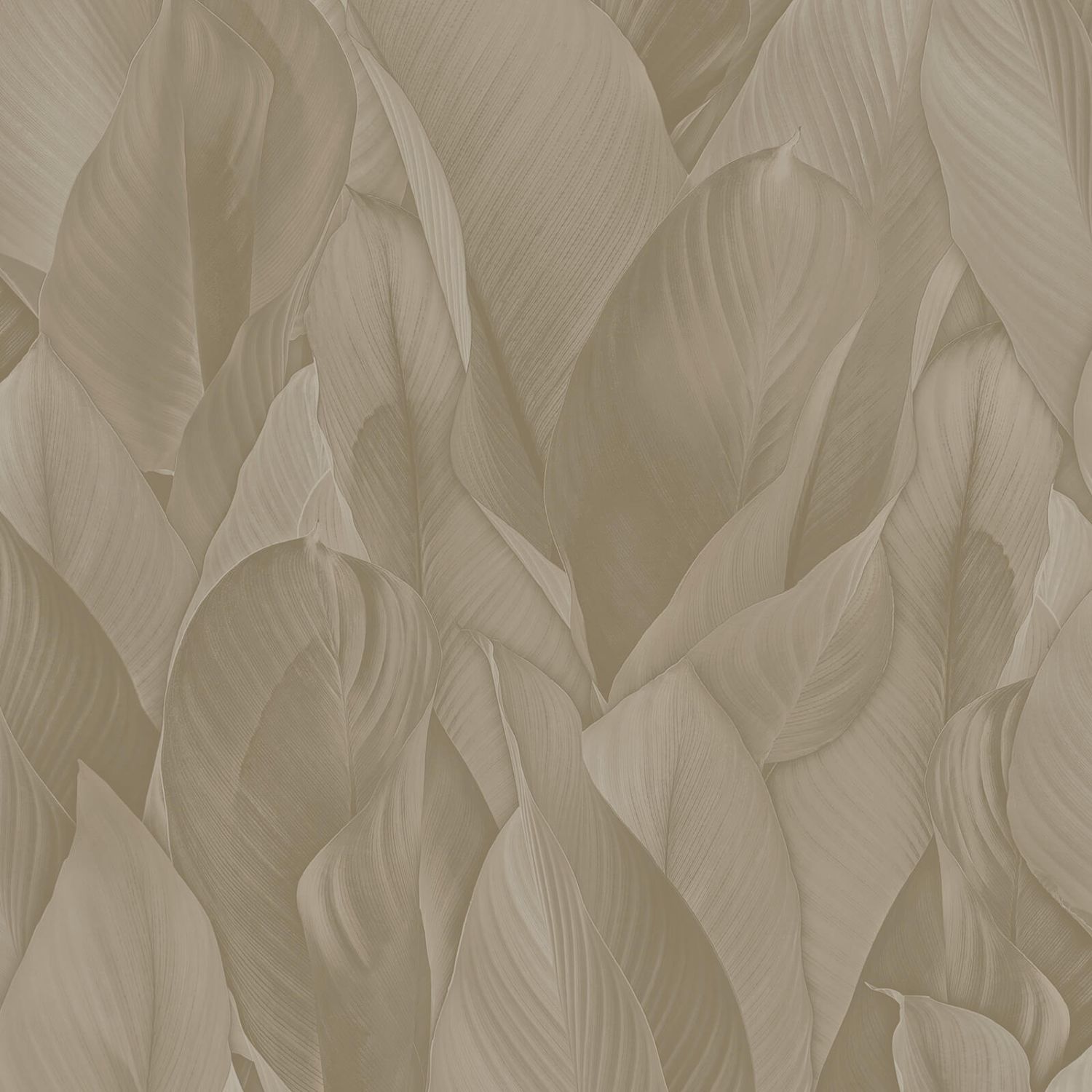 Tapeta przejrzeć taupe - 53 cm x 10.05 m - ZAMBAITI