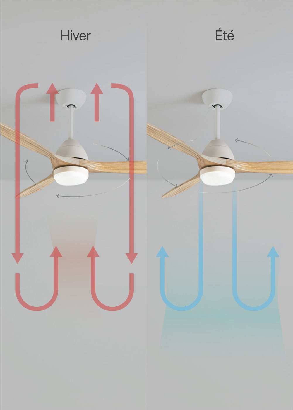 WINDLIGHT CUP DC - Ventilateur de Plafond 40W Silencieux Ø132 cm - Avec Lumière et Sans WIFI - 4