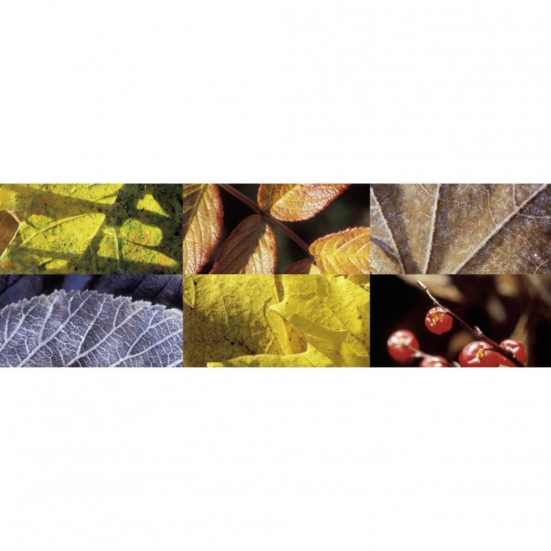 Tableau toile XXL en kit Automn 180 x 60 cm - Toile textile sans PCV - Tableau grand format fabriqué en France par Scenolia - 2