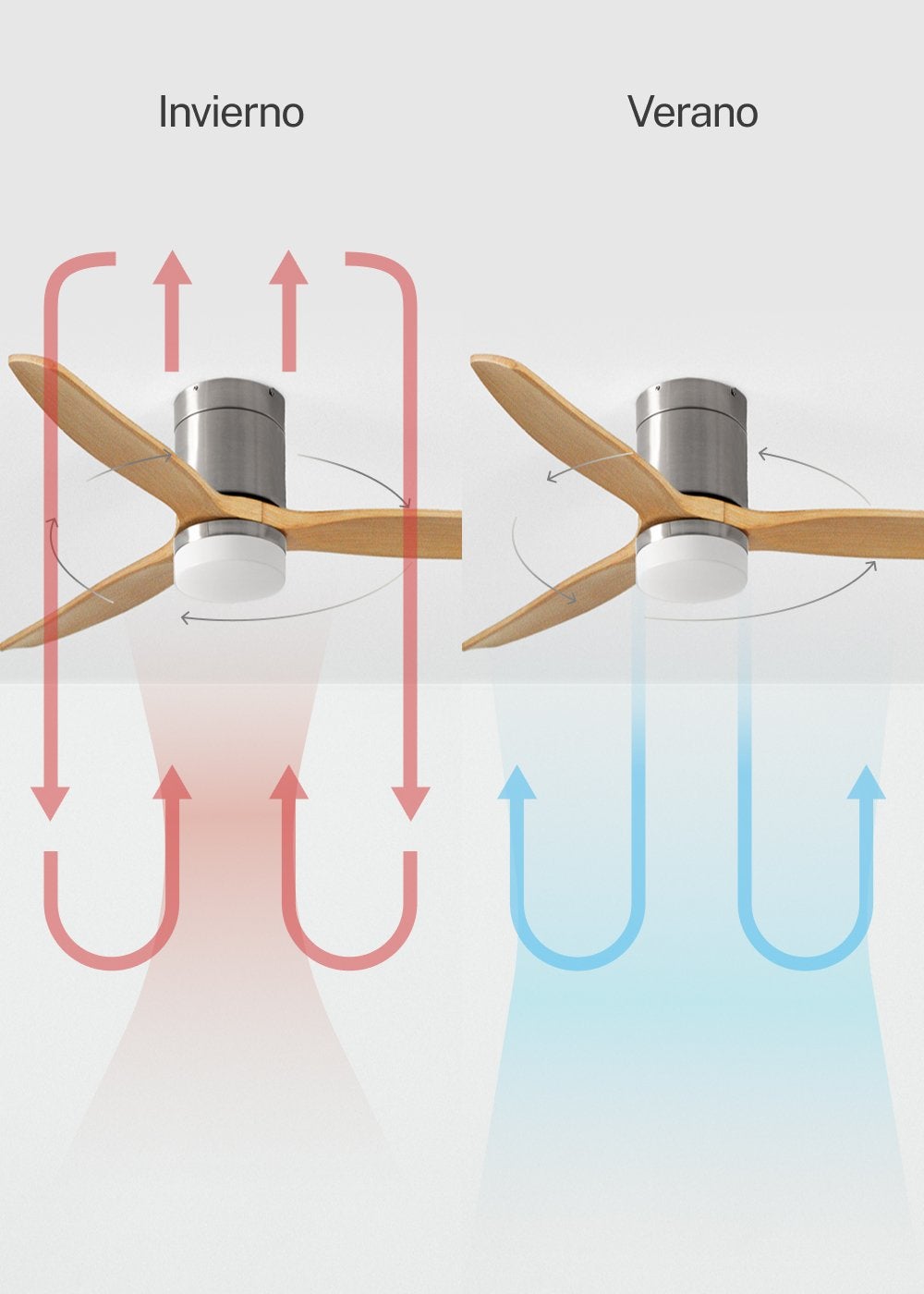 CREATE - WIND CALM M - Ventilateur de plafond silencieux 40W avec pales techniques en ABS Ø132cm avec eclaraige avec wifi - 6