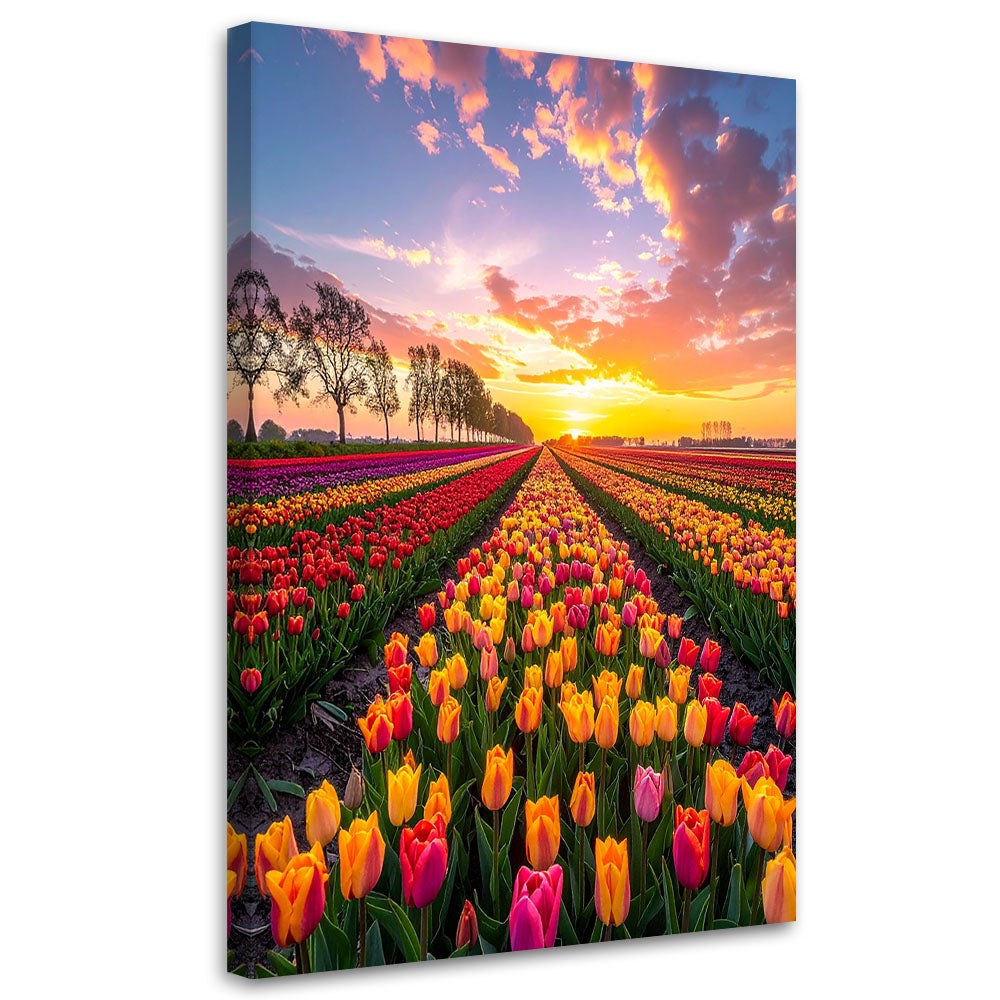 Obraz do salonu sypialni biura, Tulipany kwiaty łąka widok 80x120