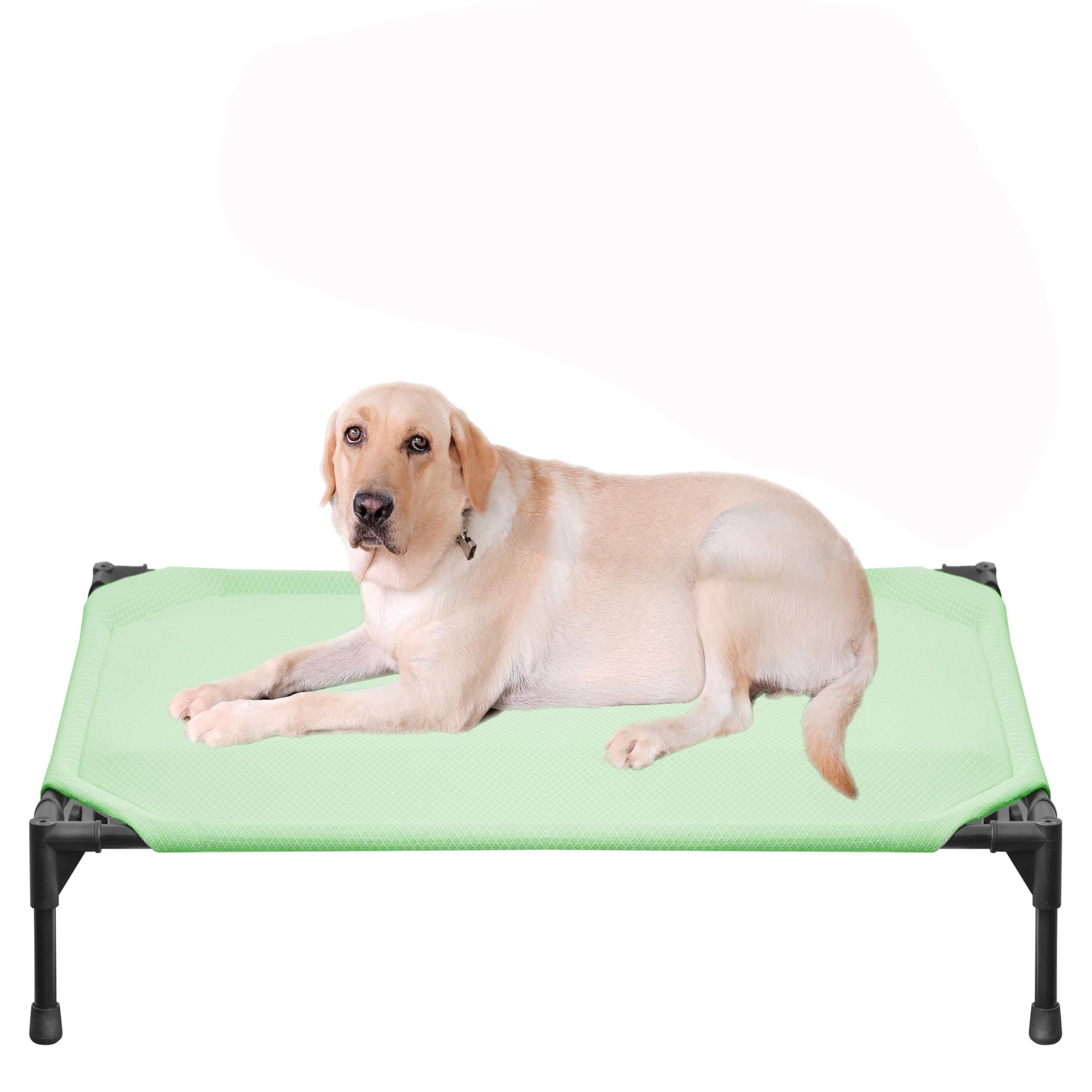Bac à Litière Pour Chien - Plateau Antidérapant En Maille, Amovible, Pour Chiots Et Animaux Moyens (45,7x33x5 Cm)