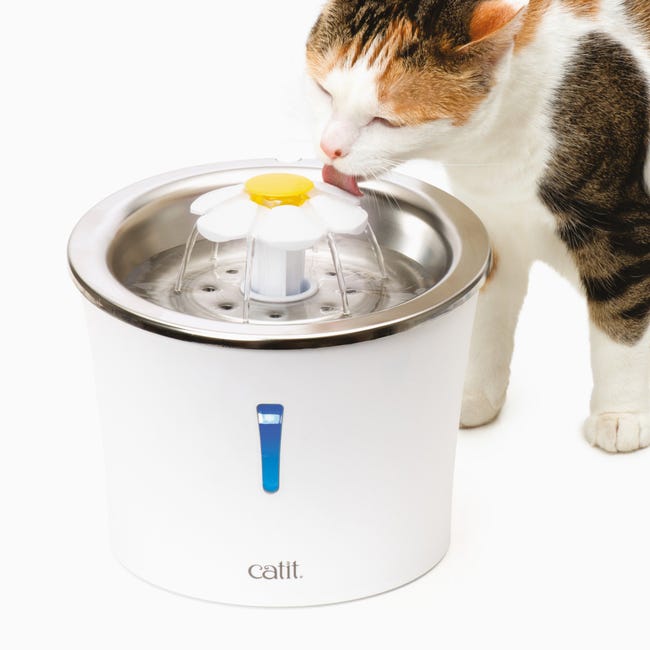 Fontaine à Eau pour Chats Catit Flower - 3 L - Dessus en Acier ...