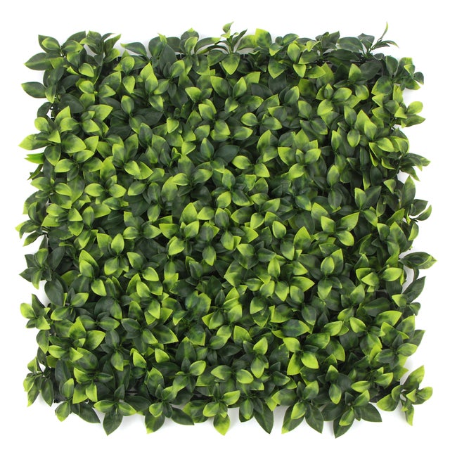 Bay Laurel | FOLY - 50 x 50 cm - Jardín vertical artificial para interior y exterior - Garantía UV 5 años - JIVANA