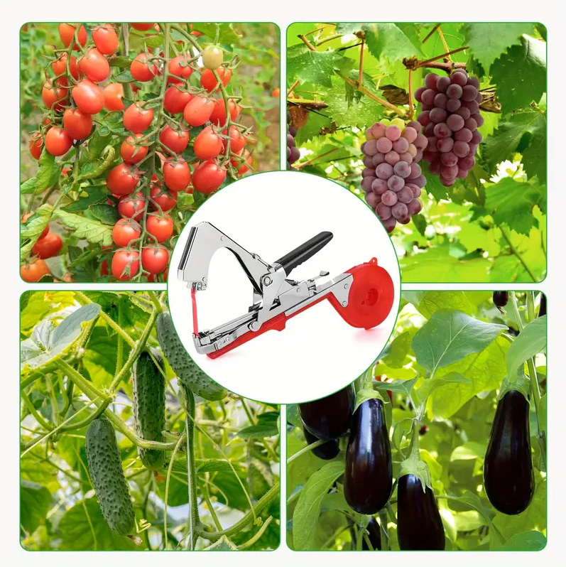 Machine à attacher les plantes pour attacher les tomates, les poivrons et les concombres rapidement et facilement, outil de jardinage pour vigne - 7