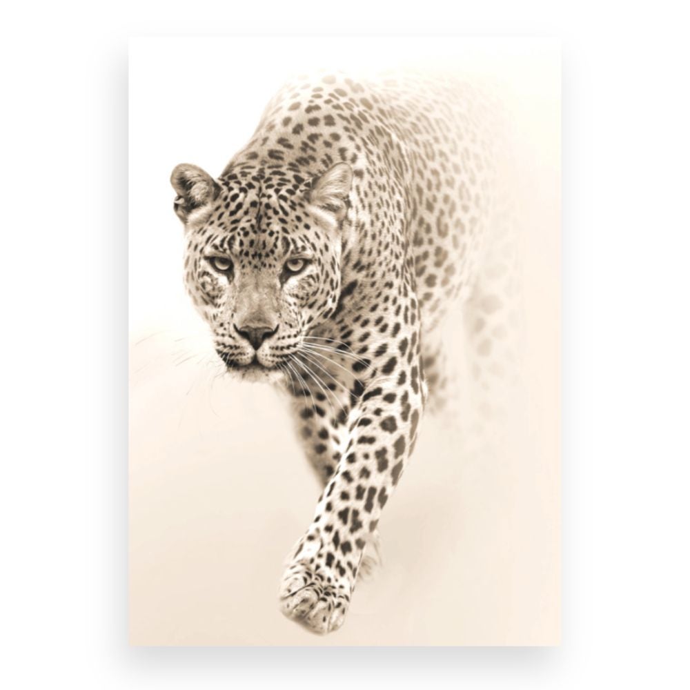 TZKRWRH Toile Murale Léopard Moderne - Poster Animal Léopard Marchant, 70x100 Cm Sans Cadre (Marron)
