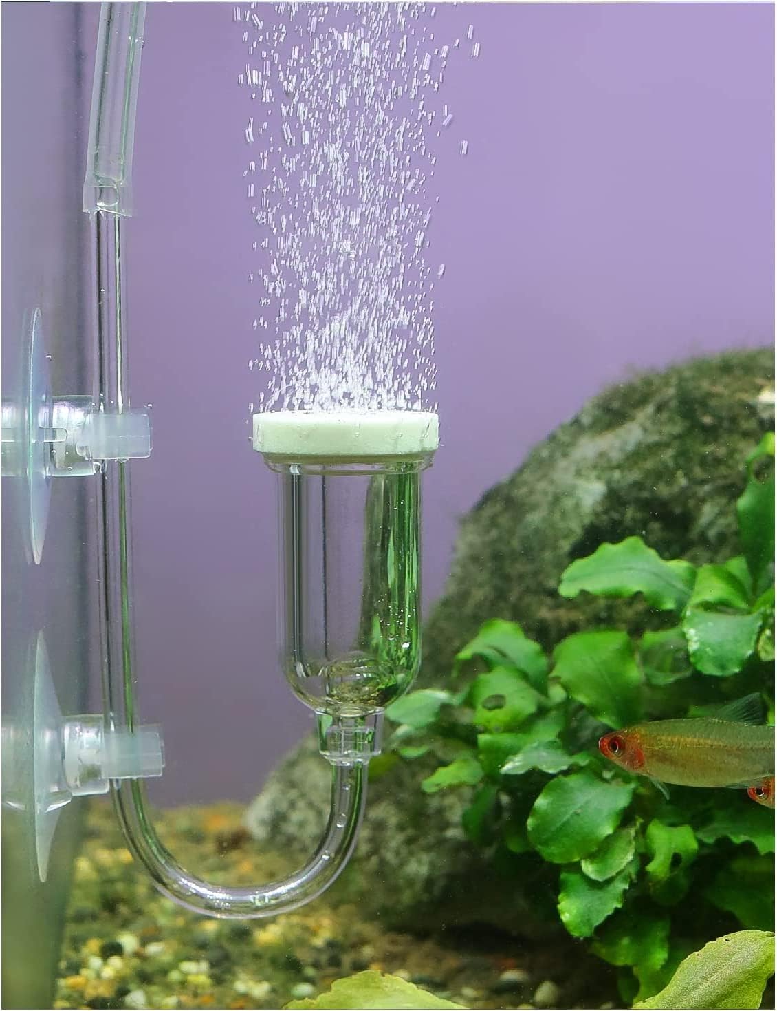 3 Pièces Bulleur Pour Aquarium Diffuseurs D'eau ,oxygène Air Stone Bulle Oxygen Oiffuser Bar Pour Aquarium Poissons