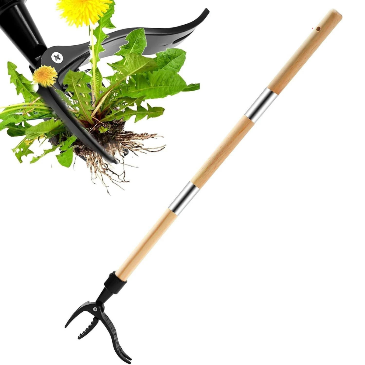 Extractor manual de păpădii cu mâner din bambus natural și 4 vârfuri metalice, extractor de buruieni de grădină cu bază200 de bucăți