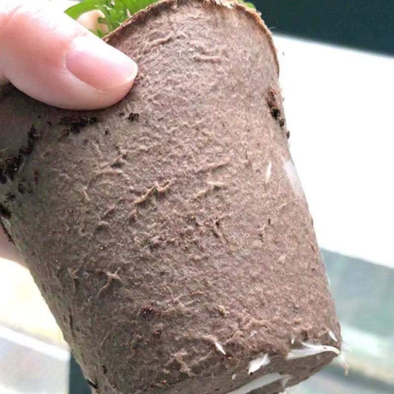 100 Pièces Pots- 8cm Godet Avec 40 étiquettes végétales Culture Semis Rond Pot de Fleur pour Jardins Potagers Serres - 5