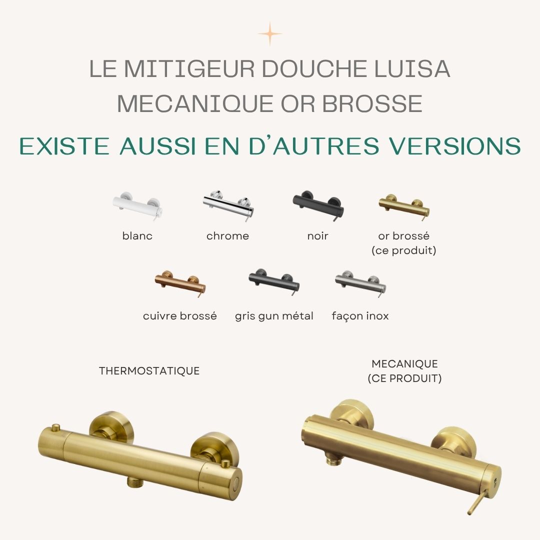 Luisa mitigeur douche mécanique or brossé - 5