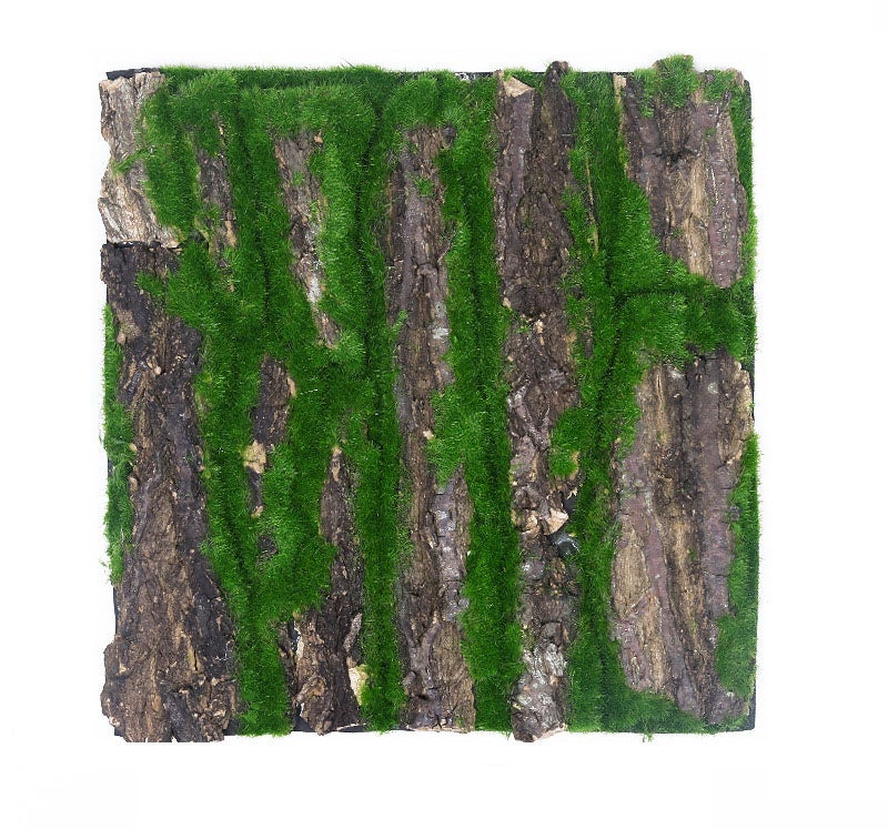 Zestaw 1 maty z pianki imitującej korek i korę dla gadów, 30 x 30 cm, do mikro-aranżacji krajobrazu i akcesoriów ogrodowych.