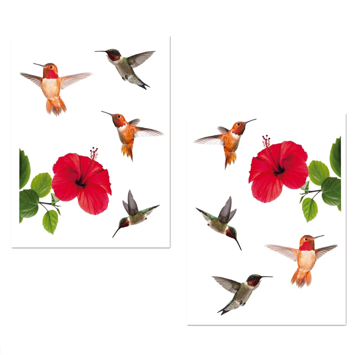 Adhésifs de vitres oiseaux - Noir - 11.95